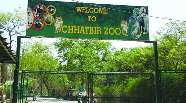 Chhatbir Zoo-min